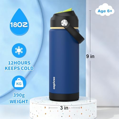 Kids Blue Water Bottle for School,Boys 18 oz Insulated Stainless Steel