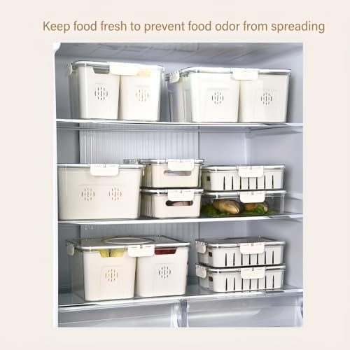 Fridge Food Storage Container with Lid, 2 Grid