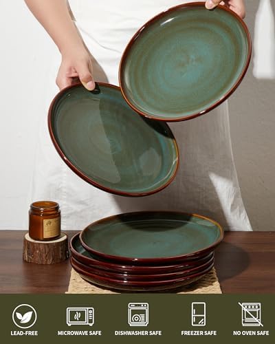 Pokini Ceramic Dinner Plates Set of 6, 10inch Salad, Dessert Plates
