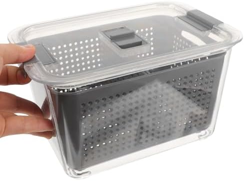 Refrigerator Sealed Storage Box, 2 Compartment PET PP Vegetable