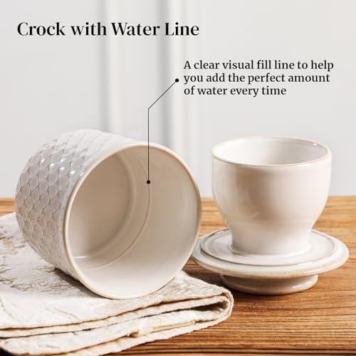 DOWAN French Butter Crock for Counter with Water, Ceramic Butter Dish