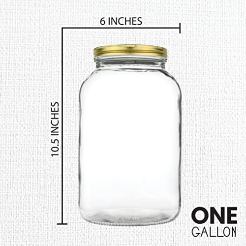 kitchentoolz 1 Gallon Glass Large Mason Jar Wide Mouth with Metal