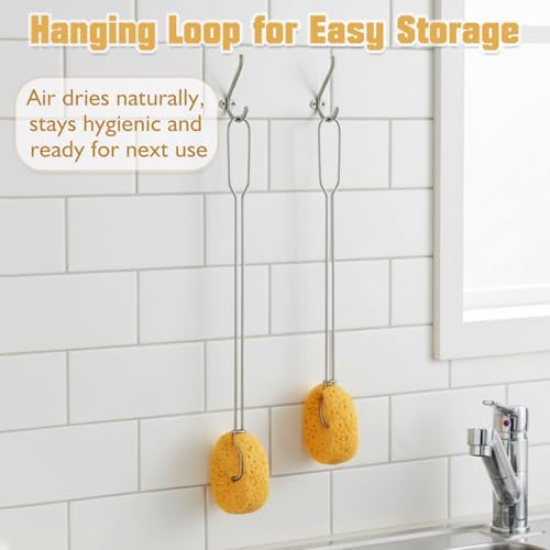 Cellulose Sponge Bottle Brush Set with Long & Short Handles