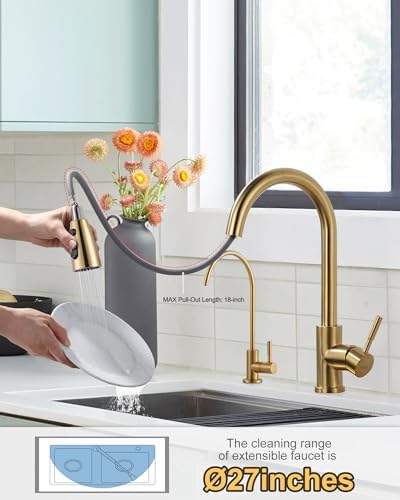 WOWOW Kitchen Faucet and Water Filter Faucet Combo, Brushed Gold