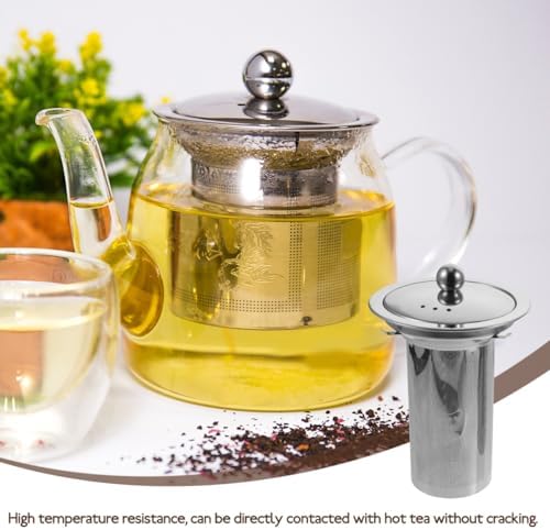 Homoyoyo 2 Pcs Tea Strainer Insert Fine Mesh Tea Filter for Loose