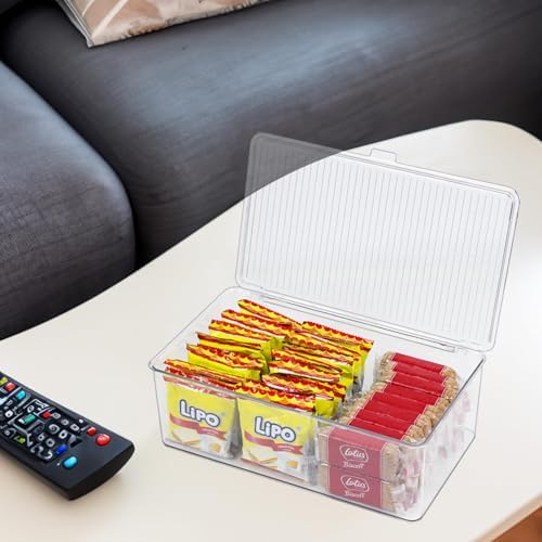 ZEXALOR Clear Plastic Storage Bin with Lid