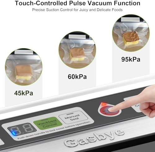 Gasbye 95kPa Precision Vacuum Sealer, Silver