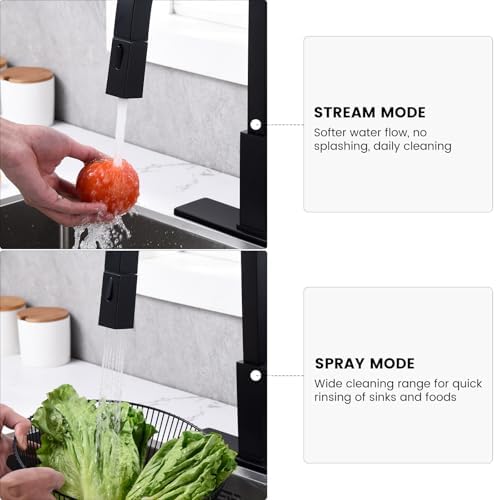 DAYONE Matte Black Square Pull-Out Kitchen Faucet