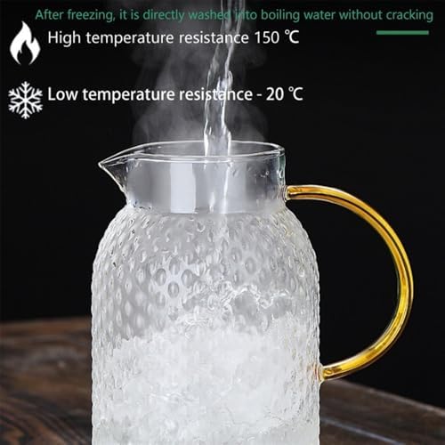 Drinking 1.9L Glass Pitcher with Lid and Handle