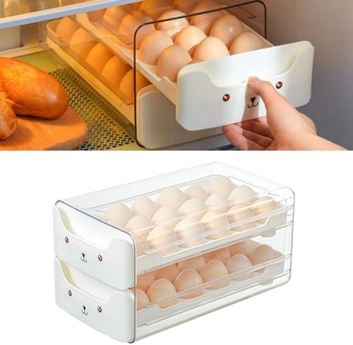 Refrigerator Egg Storage Box, Large Capacity Double Layer Drawer Egg