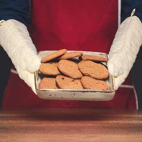 Nouvelle Legende Quilted Cotton Terry Oven Mitts for Baking, BBQ, and