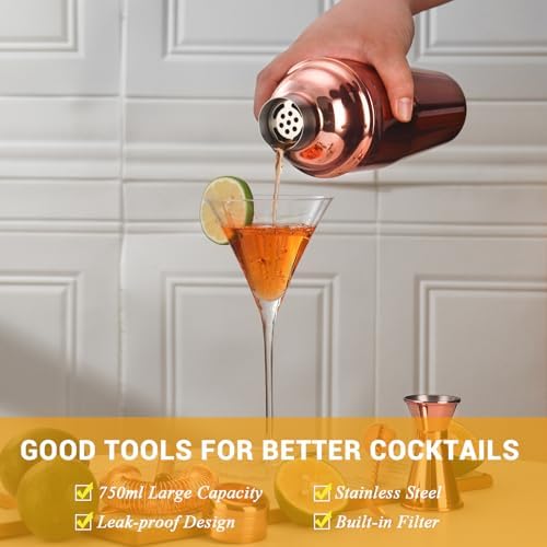 Bartender Kit Cocktail Shaker Set, Stainless Steel Cocktail Kit with