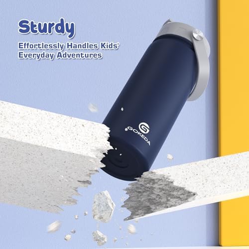 GoKEDA 18oz Kids Water Bottle, 2 Pack Stainless Steel Straw Cup
