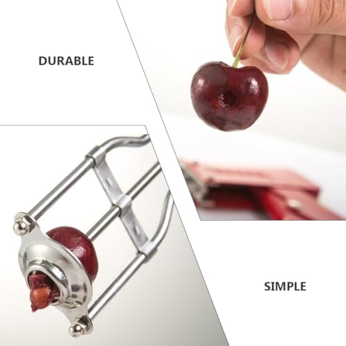 Stainless Steel Fruit Core Remover, Labor Saving Kitchen Gadget