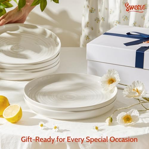 Sweese Porcelain Dinner Plates Set of 6, 10.5 Inch Dish Set