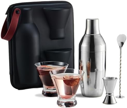 KITESSENSU Cocktail Shaker Set with to-Go Carry Case & 2 Martini