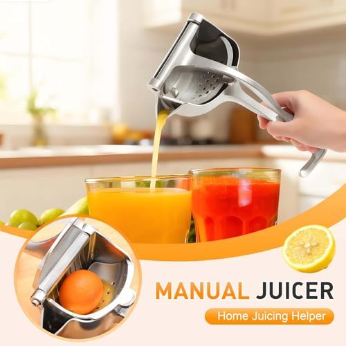 Fresh Fruit Juice Extractor, Silver