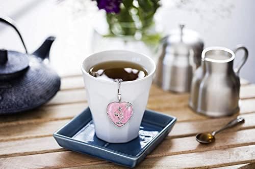 NSTaygate 2pcs Tea Infuser Tea Strainers for Loose Tea Amethyst & Rose
