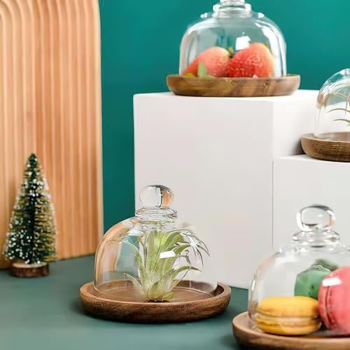 Glass Butter Dish with Lid, Clear Domed Cheese Dish with Handle-6 inch