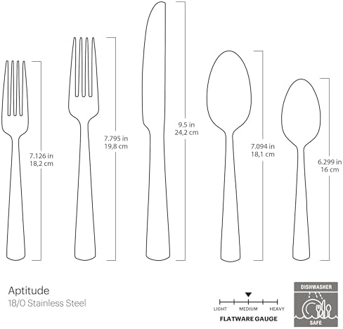 Oneida Aptitude Champagne Satin 20-Piece Silverware Set for 4