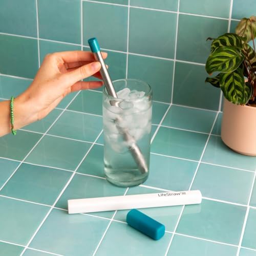 LifeStraw Sip – Reusable Stainless Steel Water Filter Drinking Straw