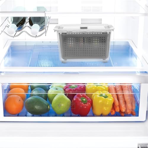 BESPORTBLE Sealed Food Storage Container 2 Compartment for