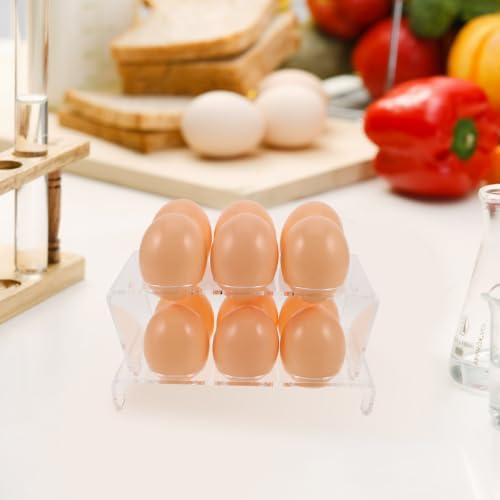 Acrylic Fridge Egg Organizer Drawer Tray, Stackable 2 Layer 12 Count