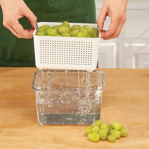Fox Valley Traders Storage Container with Drain Basket and Divider by