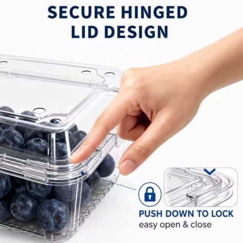 16 oz Clear Plastic Fruit Containers with Hinged Lids, Ventilated