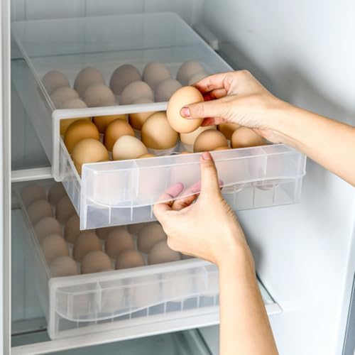 Household Egg Box with Lid, Dual-layer Drawer Style PP Tray