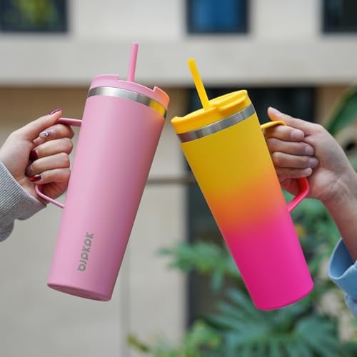 BJPKPK 30oz Insulated Tumbler with Handle, Lid & Straw, Stainless