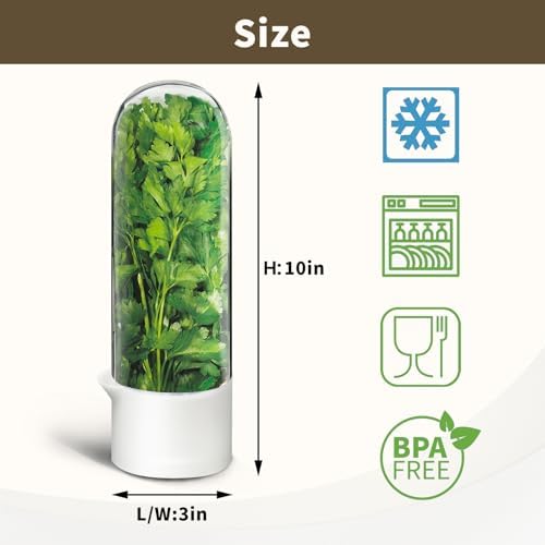 2PCS Herb Keeper Containers for Refrigerator