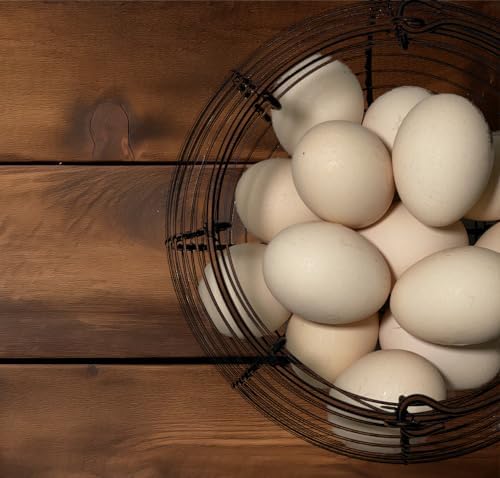 Metal Egg Gathering Basket with Handle
