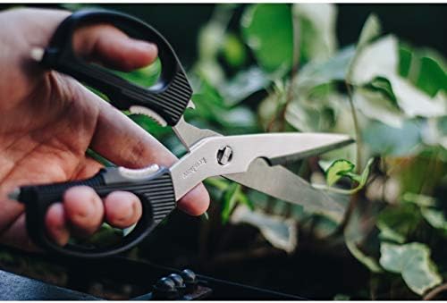 Kershaw Taskmaster Shears, Black, With 3.5 Inch Blades