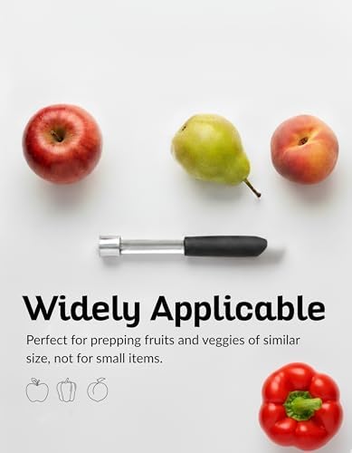 Stainless Steel Apple Corer Tool 4 Pack, Premium Fruit Core Remover