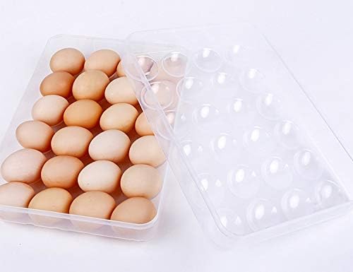 Sooyee 2 Pack Covered Egg Holders for Refrigerator,Clear 2X24 Deviled