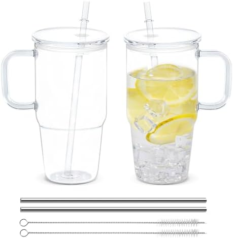 20oz Plastic Tumbler with Handle, 2Pack Clear Tumblers with Lid and