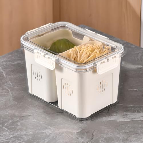 Fridge Food Storage Container with Lid, 2 Grid