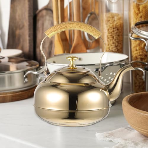 Stainless Steel Stovetop Teapot with Infuser, 1 pack