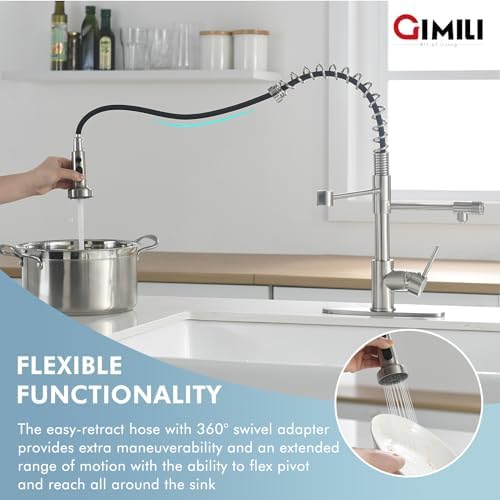GIMILI 3 in 1 Brushed Nickel Filter Kitchen Faucet