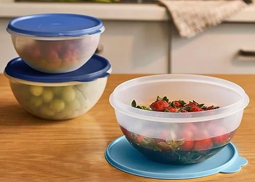 Tupperware Wonderlier Bowl Set 3