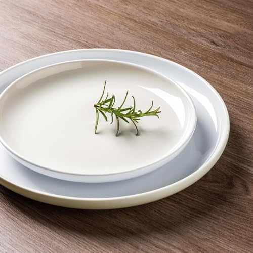 GBHOME Ceramic Dinnerware Set for 4, 12 Pcs Plates and Bowls Sets