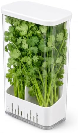 Herb Keeper Storage Container with Removable Partition