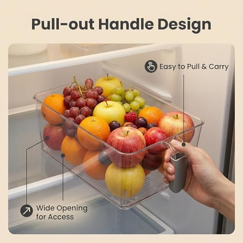 2 Set Freezer Ice Bins with Scoop and Tongs