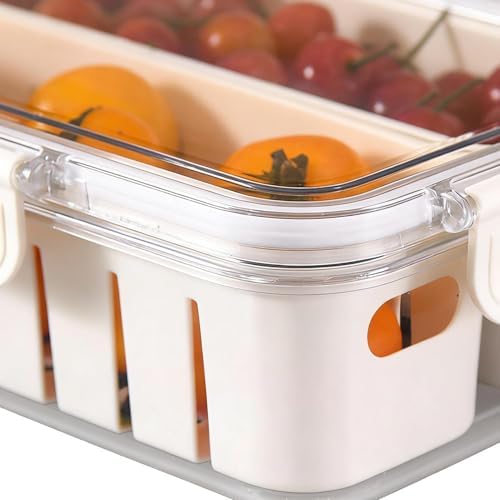 Snack Tray With Lid Portable Veggie Charcuterie Container