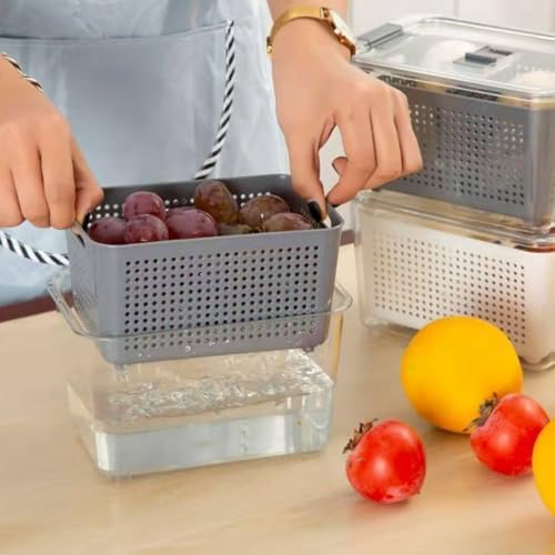 Fresh Food Storage Container Refrigerator Organizer Bin Medium Vent