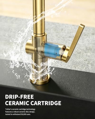 Tohlar Gold Kitchen Faucet with Pull-Down Sprayer