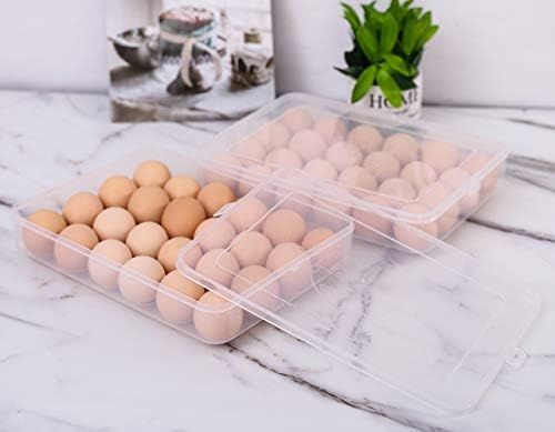 Sooyee 2 Pack Covered Egg Holders for Refrigerator,Clear 2X24 Deviled