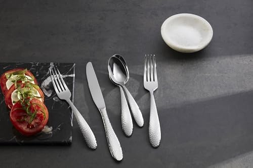 Oneida Reyna 20 Piece Set, Service for 4, 18/0 Stainless Steel