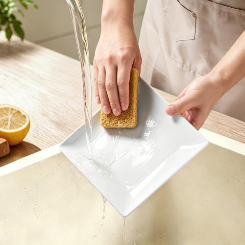 Square Appetizer Plates Set of 4, 8" Porcelain Dessert Plate